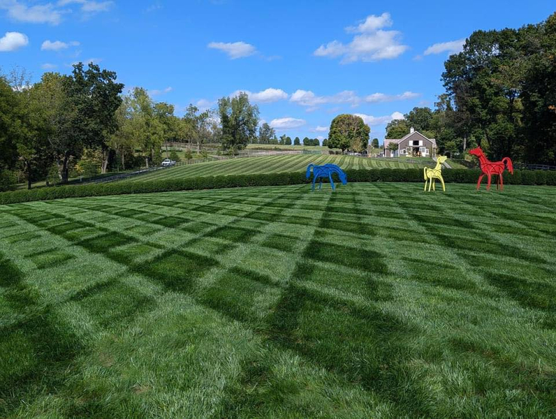 Cover photo of Lawn Doctor of Carroll County - Reisterstown